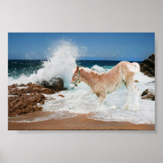 Póster Borrador Del Mar