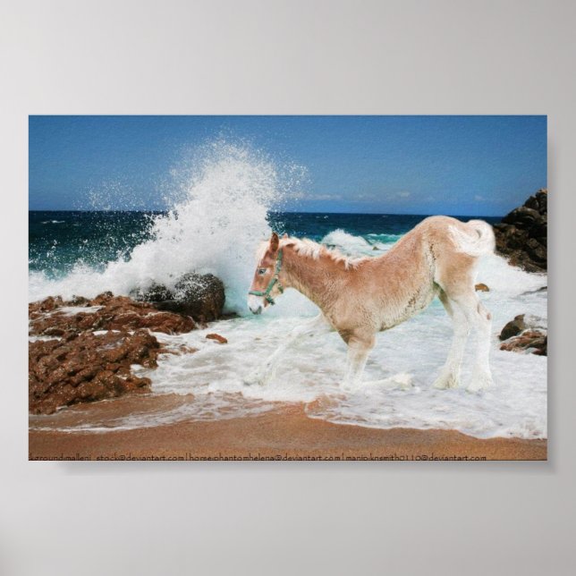 Póster Borrador Del Mar (Frente)