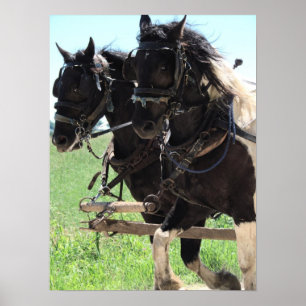 Póster Borradores de Pinto en el trabajo