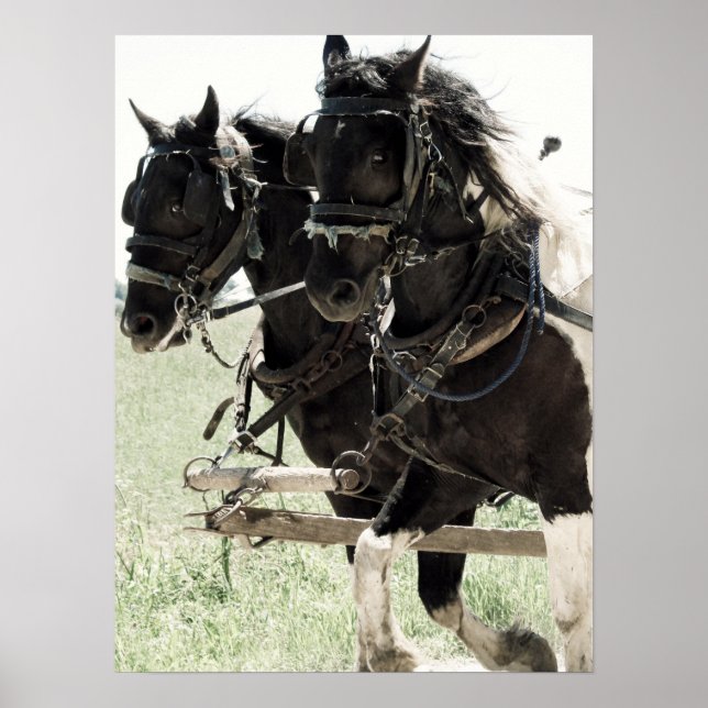 Póster Borradores de Pinto en el trabajo (Frente)