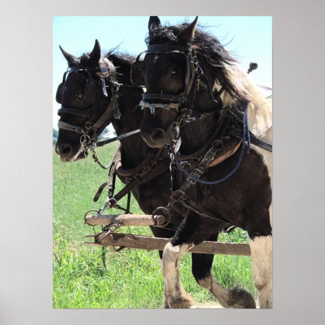 Póster Borradores de Pinto en el trabajo (Frente)