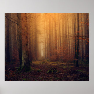 Póster Bosque