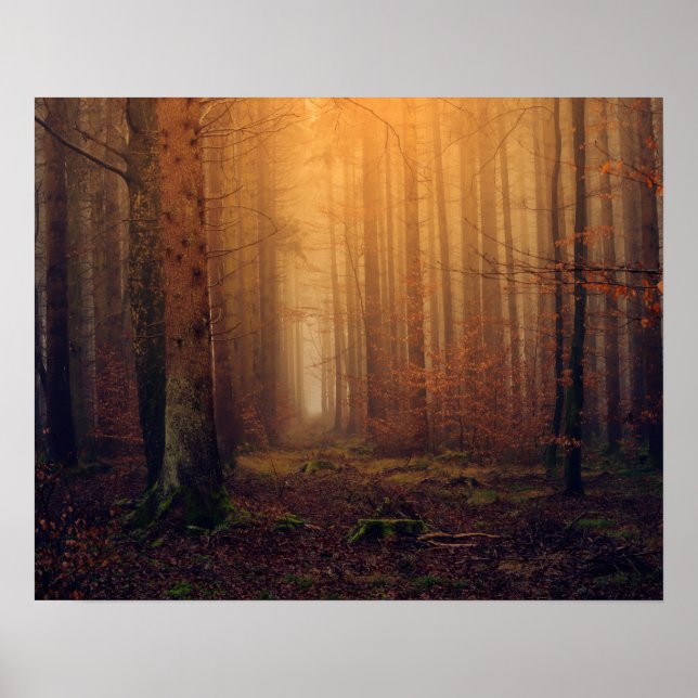 Póster Bosque (Frente)