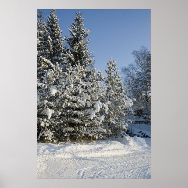 Póster Bosque (Frente)