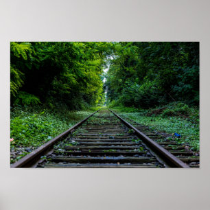 Póster bosque abandonado con vías de tren