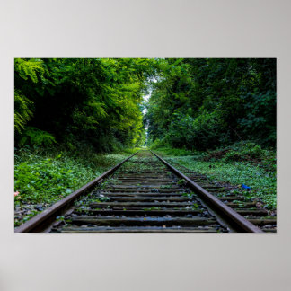 Póster bosque abandonado con vías de tren