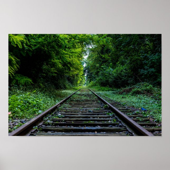 Póster bosque abandonado con vías de tren (Frente)