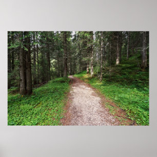 Póster bosque alpino