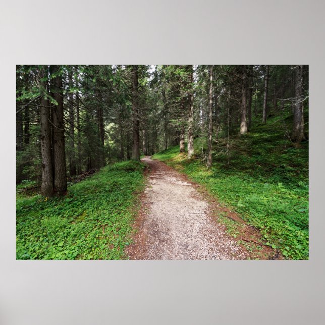 Póster bosque alpino (Frente)
