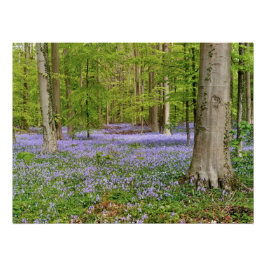 Póster Bosque azul con flores de campanilla azul