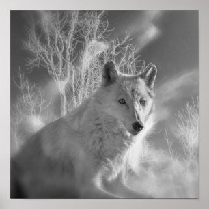 PÓSTER BOSQUE BLANCO DE LA MUJER BLANCA