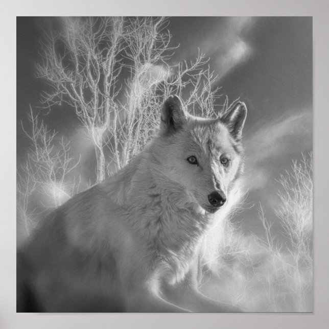 PÓSTER BOSQUE BLANCO DE LA MUJER BLANCA (Frente)