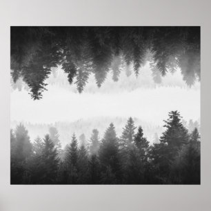 Póster Bosque brumoso blanco y negro reflejado