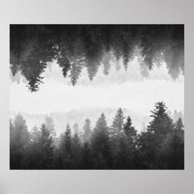 Póster Bosque brumoso blanco y negro reflejado (Frente)