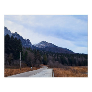 Póster Bosque Camino Paisaje Escénico Naturaleza Salvaje