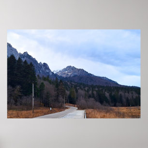 Póster Bosque Camino Paisaje Escénico Naturaleza Salvaje