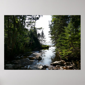 Póster Bosque cerca de Hunters Beach en Acadia National P