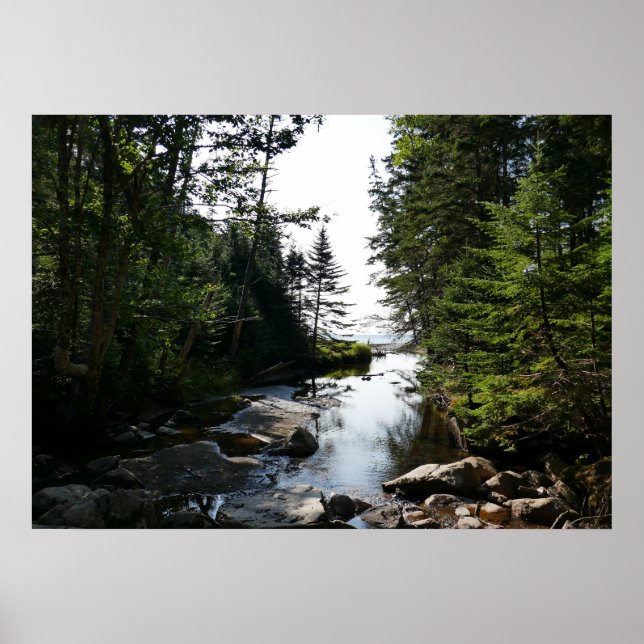 Póster Bosque cerca de Hunters Beach en Acadia National P (Frente)