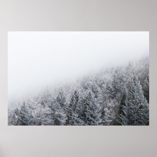 Póster Bosque congelado (Frente)