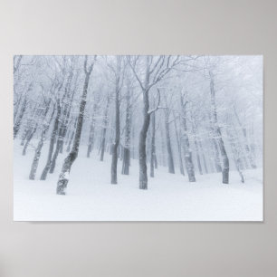 Póster Bosque congelado cubierto de nieve en invierno