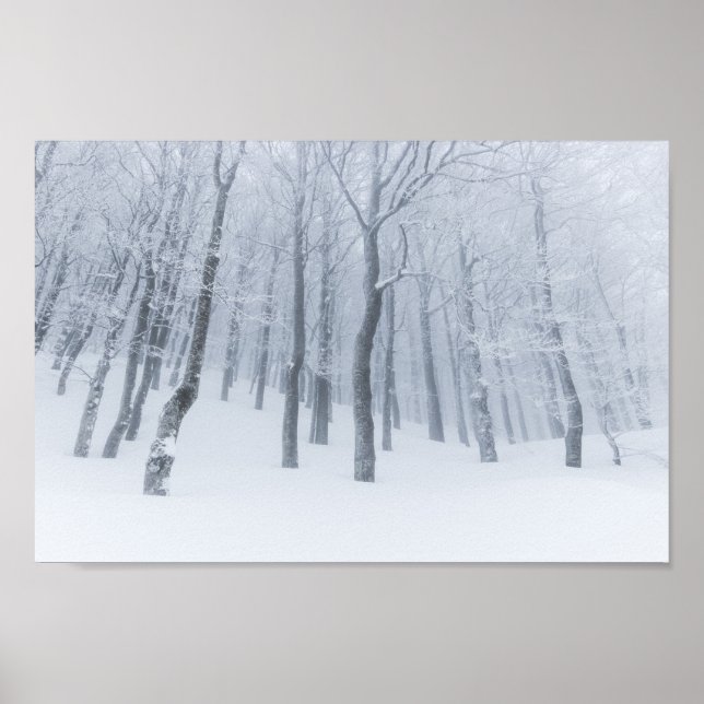 Póster Bosque congelado cubierto de nieve en invierno (Frente)