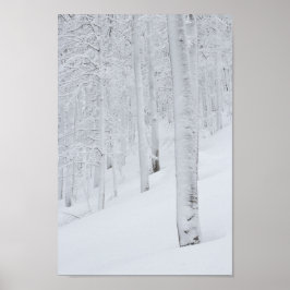 Póster Bosque cubierto de nieve, país de las maravillas i