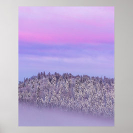 Póster Bosque de abeto cubierto de nieve niebla al atarde