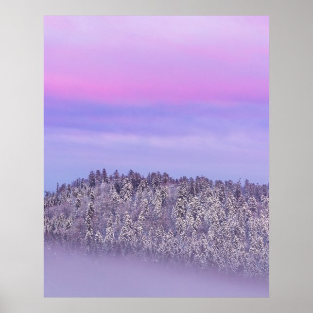 Póster Bosque de abeto cubierto de nieve niebla al atarde (Frente)