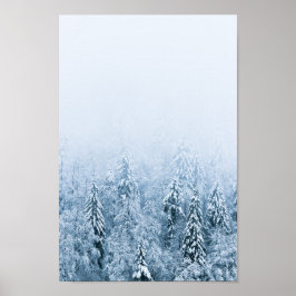 Póster Bosque de abeto de haya cubierto de nieve en niebl