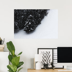 Póster Bosque de abetos negro y blanco y nieve