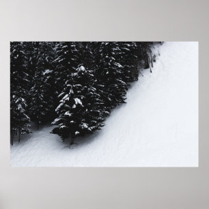 Póster Bosque de abetos negros y blancos y nieve