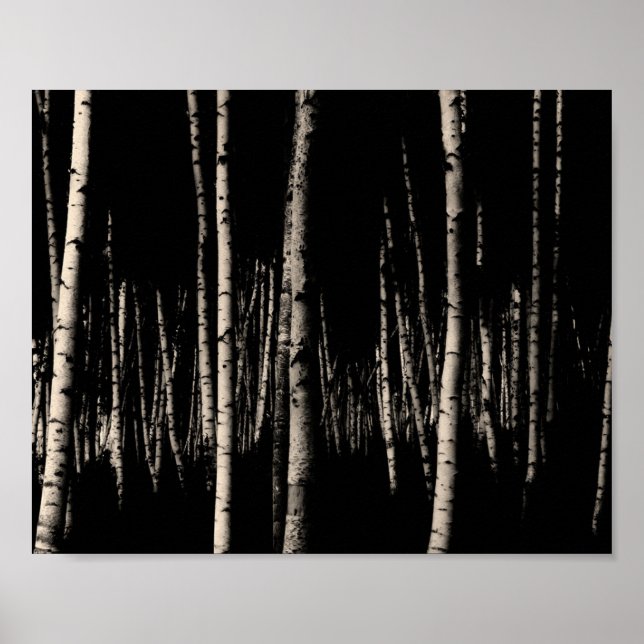 Póster Bosque de árboles de Birch en Sepia (Frente)