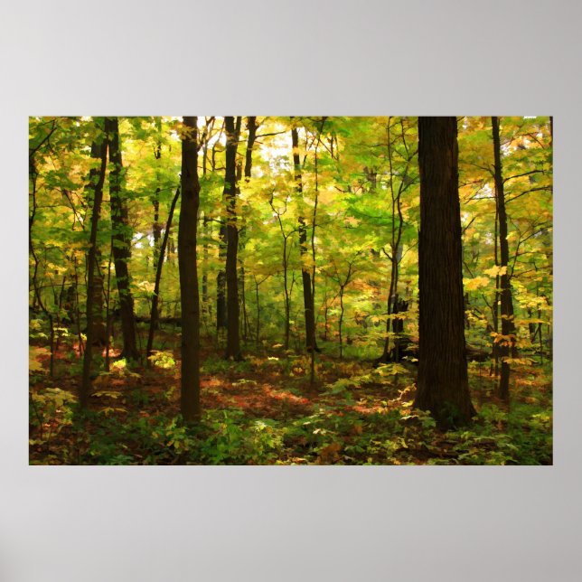 Póster "Bosque de arce" (Frente)