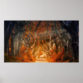 Póster Bosque de arce de otoño que cae bosque de bosques