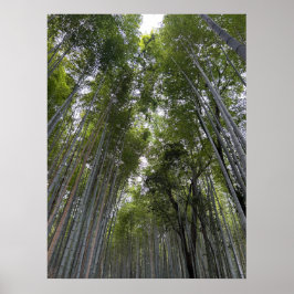 Póster Bosque de Bambú - Kyoto