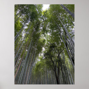 Póster Bosque de Bambú - Kyoto