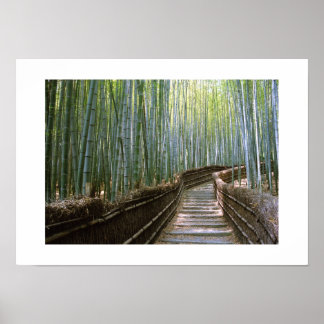Póster Bosque de Bambú: Kyoto, Japón