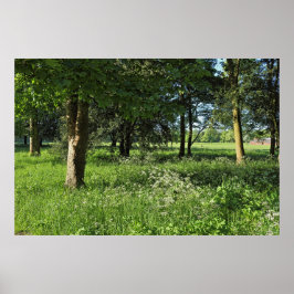 Póster Bosque de Blackweir, Parque Bute, Gales de Cardiff