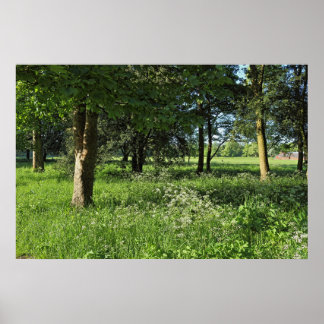 Póster Bosque de Blackweir, Parque Bute, Gales de Cardiff
