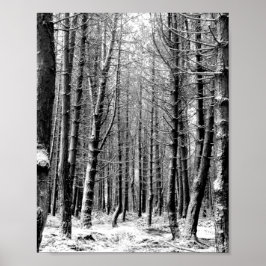 Póster Bosque de bosques de nieve de invierno