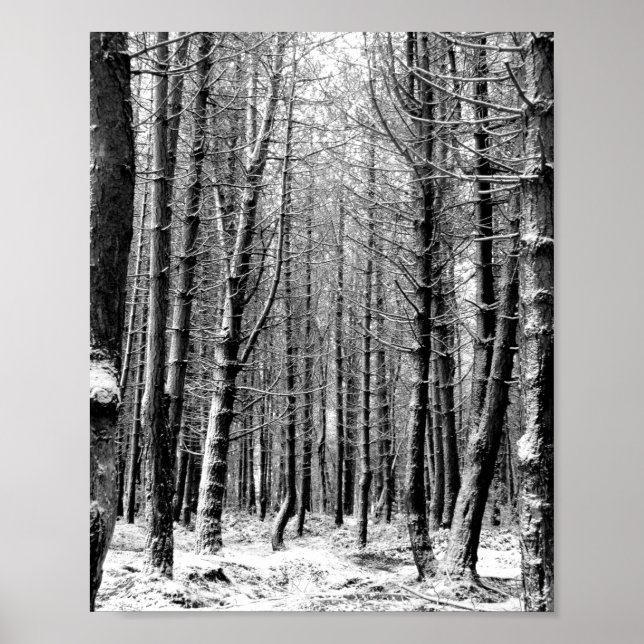Póster Bosque de bosques de nieve de invierno (Frente)