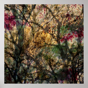 Póster Bosque de capas