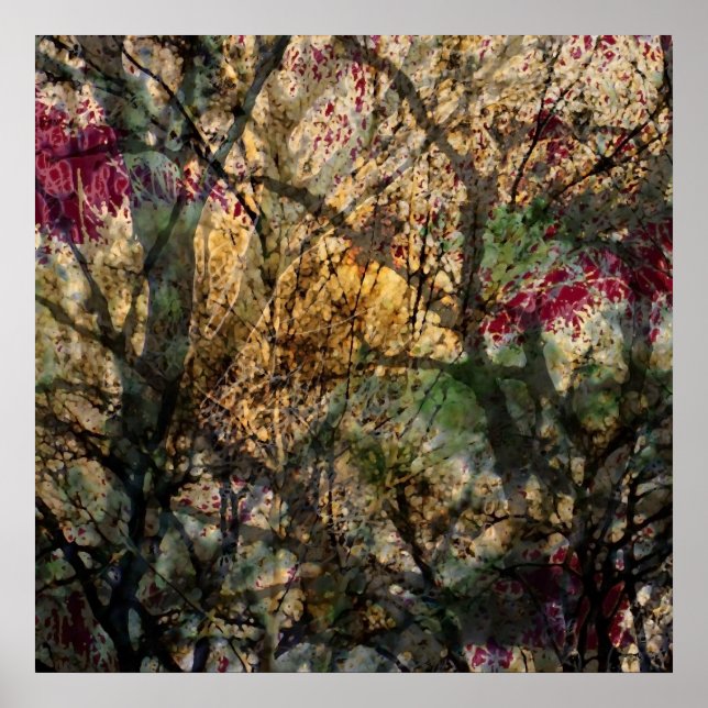 Póster Bosque de capas (Frente)