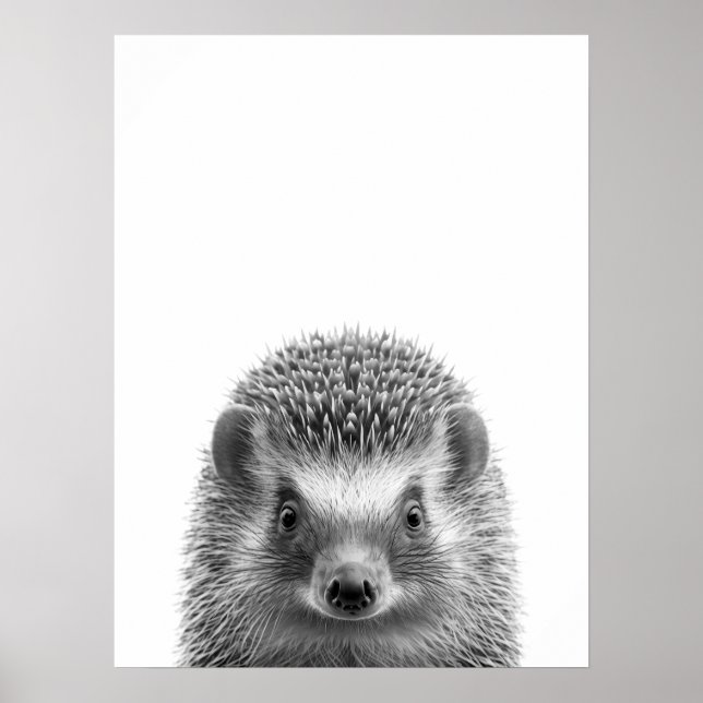 Póster Bosque de Erizo Retrato Moderno negro blanco (Frente)