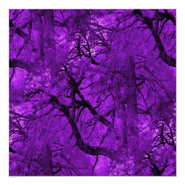 Póster Bosque de fantasía... (Anverso)