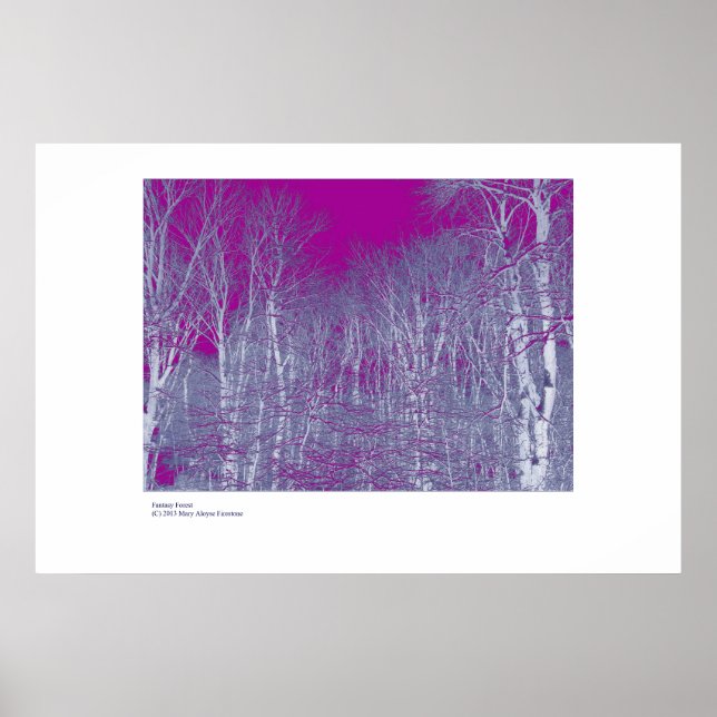 Póster Bosque de fantasía (Frente)