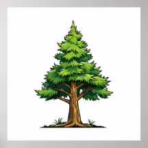 Bosque de hoja perenne