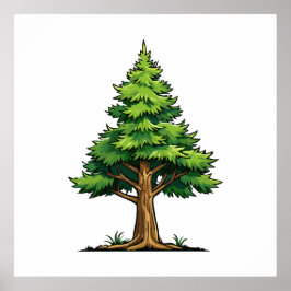 Póster Bosque de hoja perenne