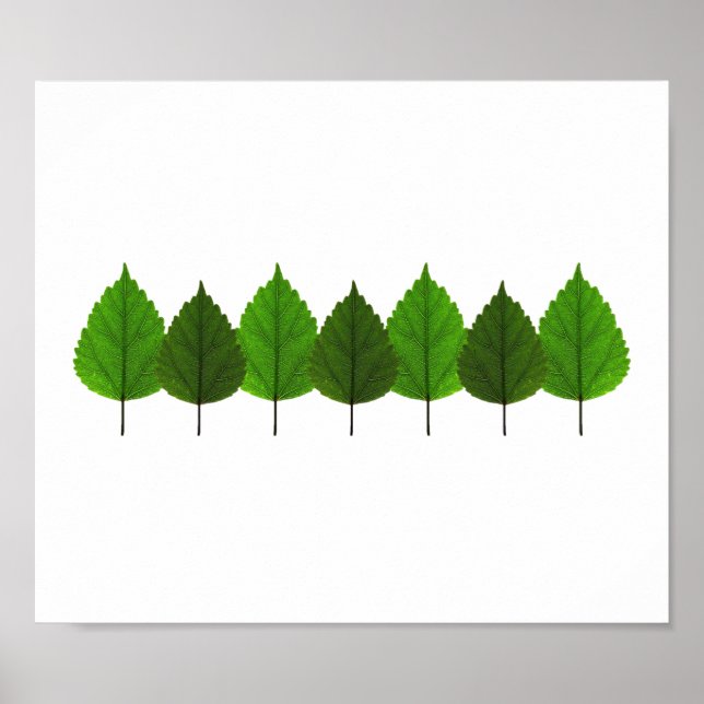 Póster Bosque de hojas de árbol verde feliz (Frente)