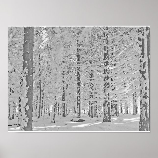 Póster bosque de invierno (Frente)